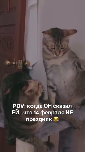 😂😂😂