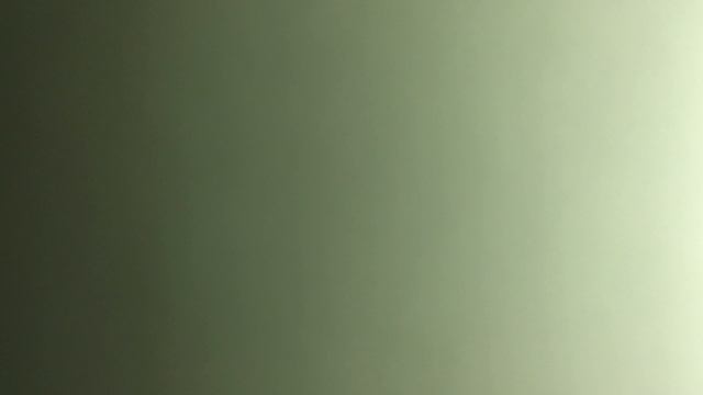 13 апреля 2023 года 011