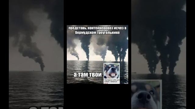 МЕМЫЫЫЫЫ
чаптер 1
