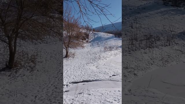 ДОРОГА на ЕЛШАНКУ - 3. разведка.
