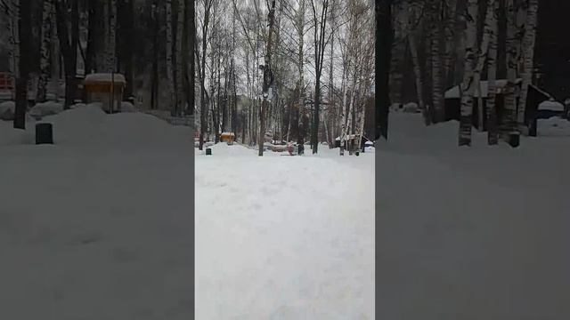 VID-20250214-WA0011