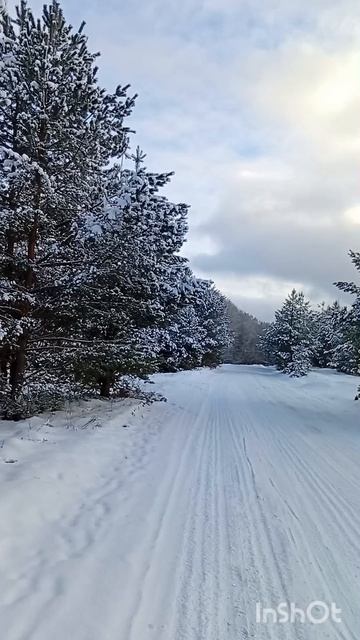 день влюбленных