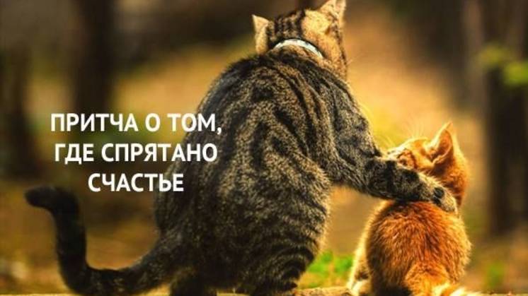 Куда спряталось Счастье? : Притча Мудреца 35