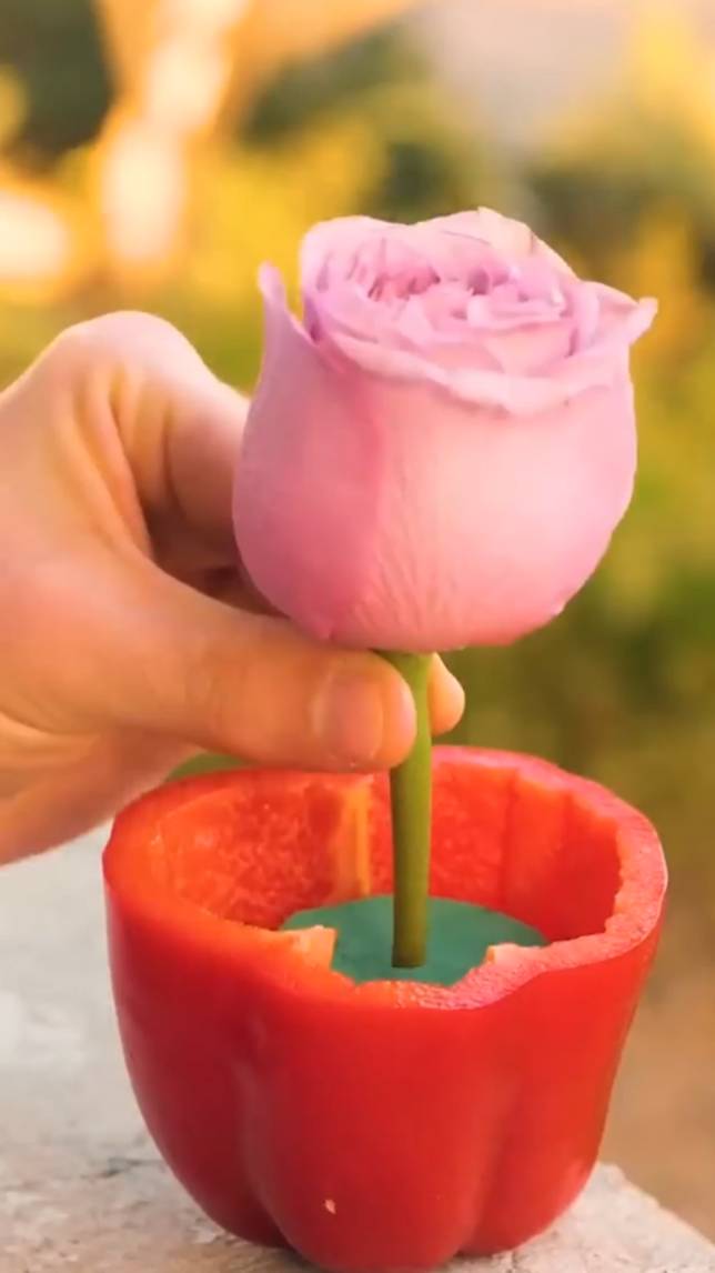🌹🍀Удивительные советы по выращиванию растений! #shorts #garden #советы