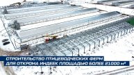 БЫСТРОВОЗВОДИМЫЕ ФЕРМЫ ДЛЯ ОТКОРМА ИНДЕЕК // ПЛОЩАДЬЮ БОЛЕЕ 21 000 м²