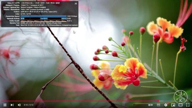 Asus AC58U тест YouTube