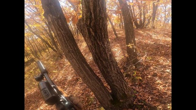 Страйкбольная тренеровка