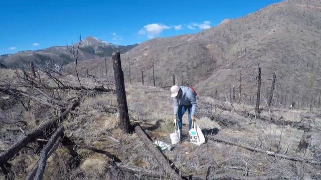 Planting Trees in Fourmile Canyon Colorado for Earth Day | One Tree Planted