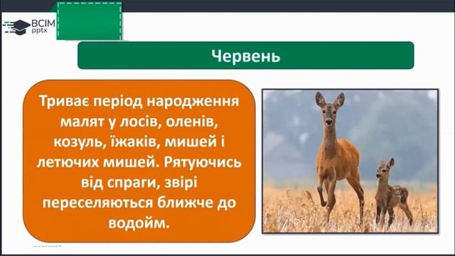 ЯДС урок 135