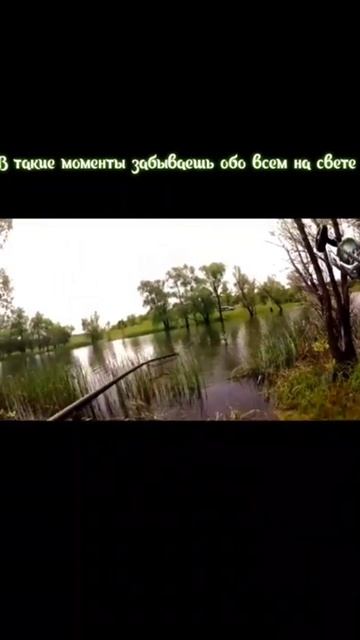 Прелесть летней рыбалки