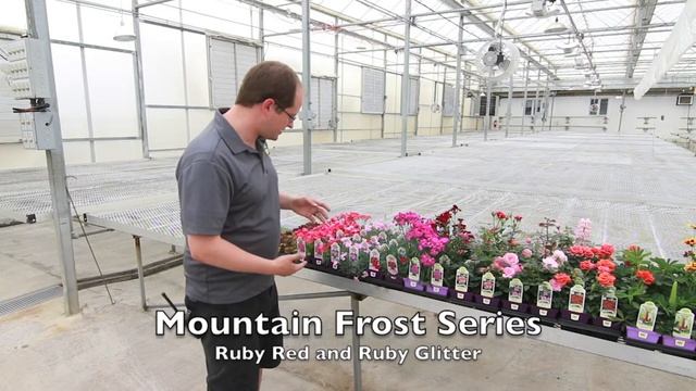 Swift Greenhouses