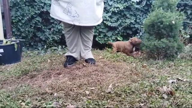 1000158411.mp4