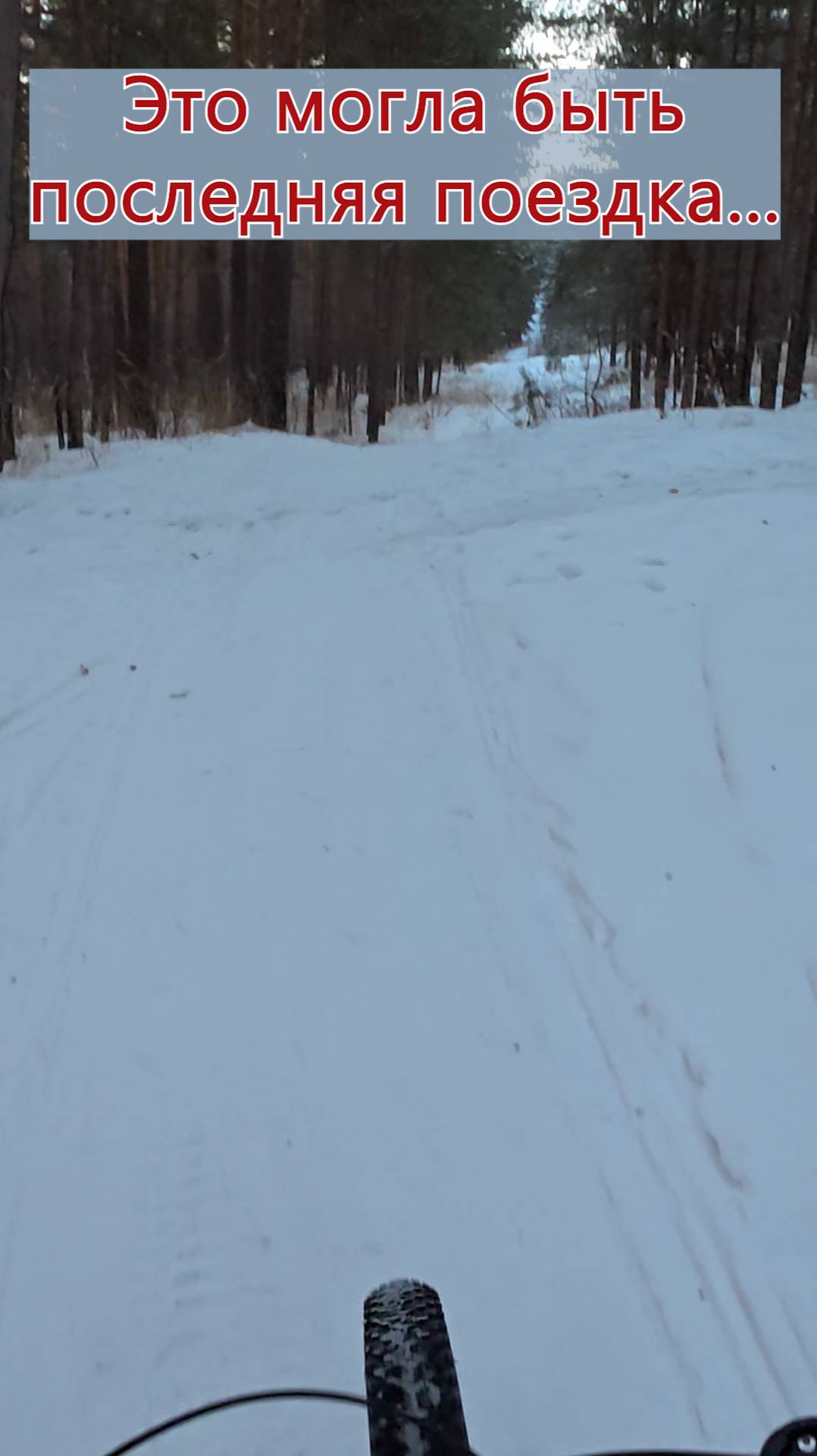 Поездка чуть не стала последней 🤯 #action #велосипед #enduro