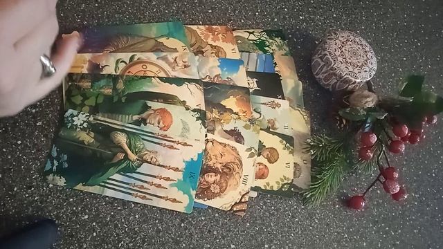 VID_20250214_163015.mp4