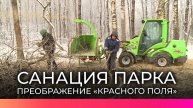 Парк «Красное поле» расчищают от кустарников и упавших деревьев