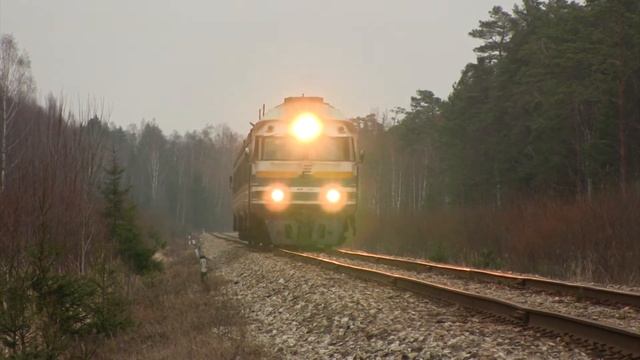 Дизель-поезд ДР1А-252 близ быв. о.п. Кынну / DR1A-252 near old Kõnnu stop