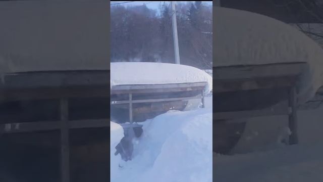 Челлендж прыжком в снег