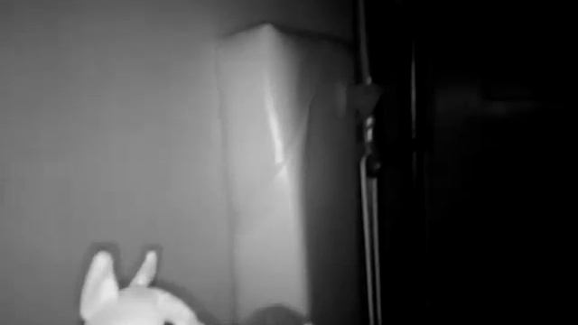 TP-LINK Cloud Camera NC220 test video