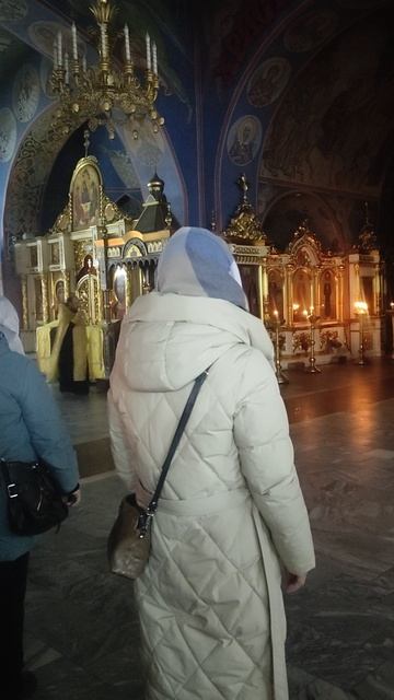 1000152809.mp4Богородицу и Матерь Света в Песнех возвеличим.от 7.2.25