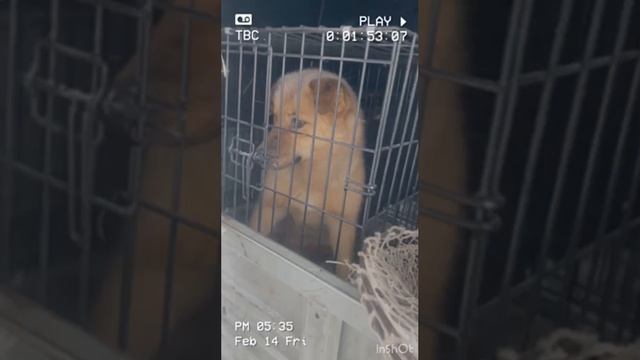 13.02.25 район Дорожник
