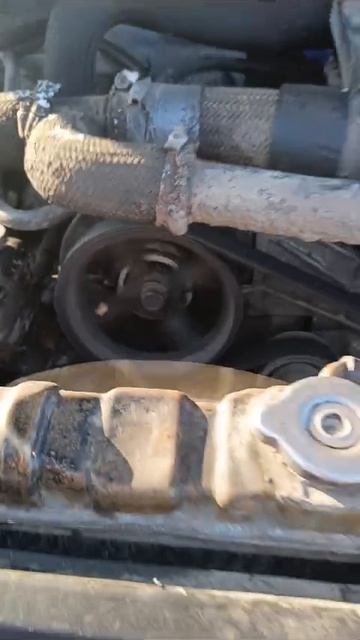1000021731.mp4