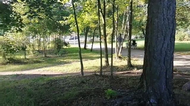 Скамейка эта ЖКХ заброшена