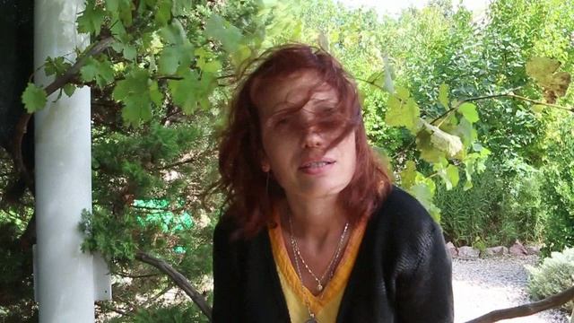 Нина Рубштейн - Почему Крым (19 августа 2014 года)