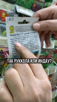 Так руккола или индау?