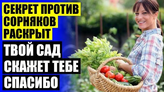Купить средство от сорняков на валберис 🔴 Гербицид спрут экстра отзывы 🔔