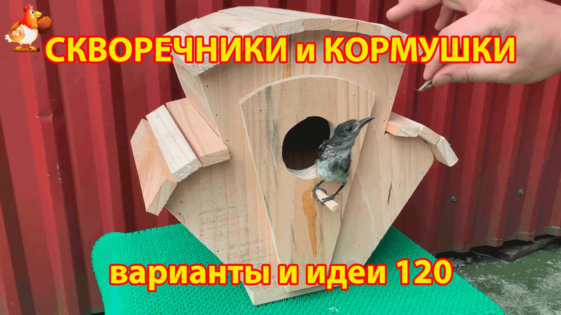 Скворечники и кормушки своими руками для птиц 120 🪚🪛🔨 Идеи для дачи и сада пошагово ❣️