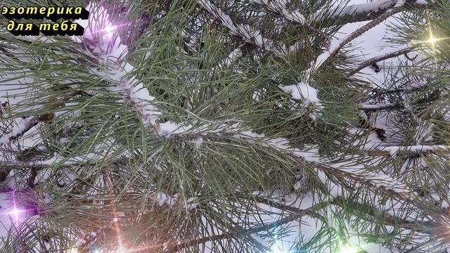 14 февраля