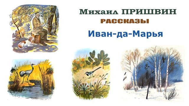 "Иван-да-Марья" (автор М.Пришвин) - Слушать