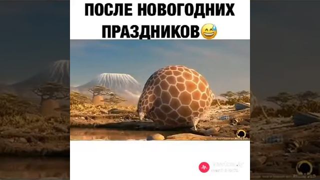 После праздников