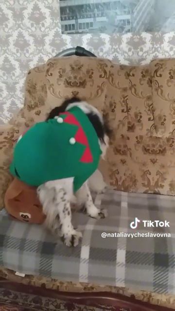 Очень вызывающе...)))