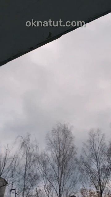 2 ноября 2023 г.