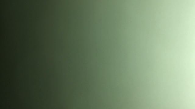 13 апреля 2023 года 077