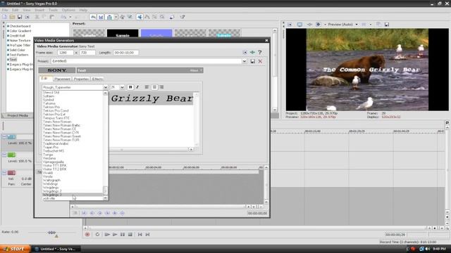 Sony Vegas - Text