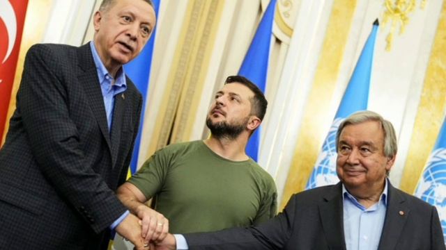 Украинские песни. Владимир Ружицкий