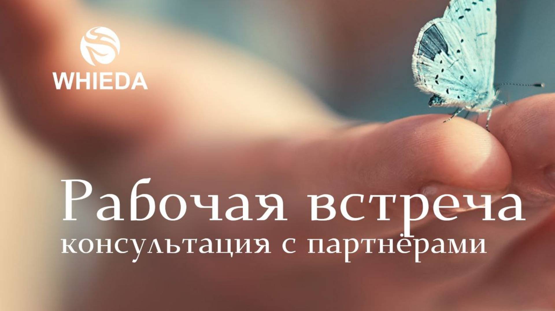 Как превратить навыки массажа в успешный прибыльный бизнес