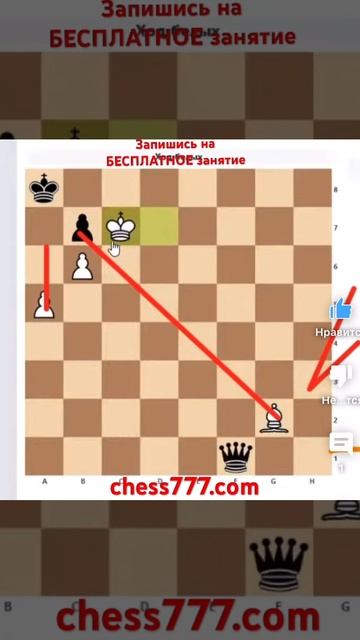 Шахматная задача🥸 Отрывок занятия. #шахматы