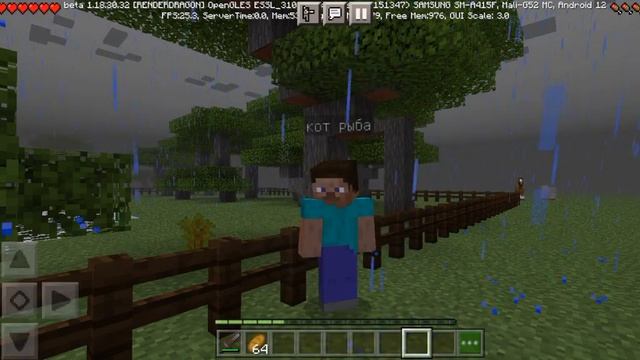 Minecraft и кот рыба и TANOR МОЛОТ