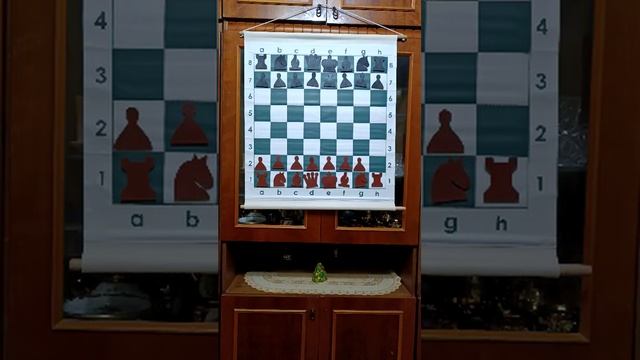 Мастер-класс по шахматам