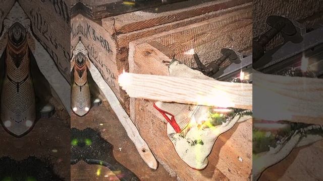 1000015756.mp4 (Собака смотрит на электроснабжение дома А-фрейм)