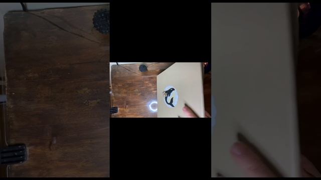 Реставрация книги Амурские сказки .mp4