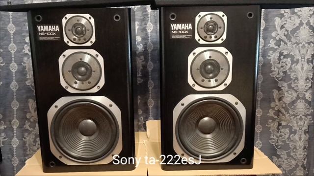Yamaha ns-100x