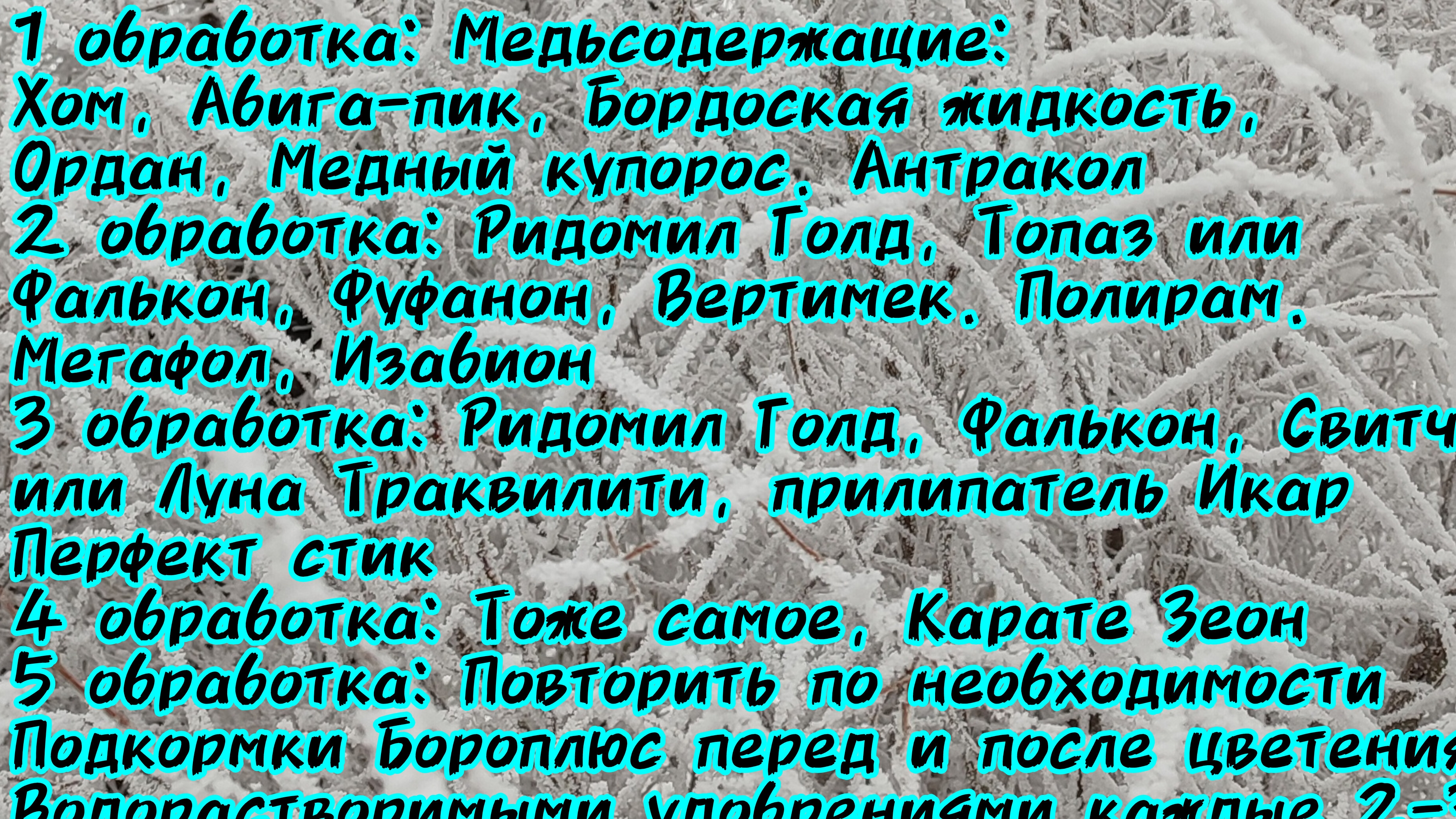 Подготовка к новому виноградному сезону - приобретение препаратов и удобрений