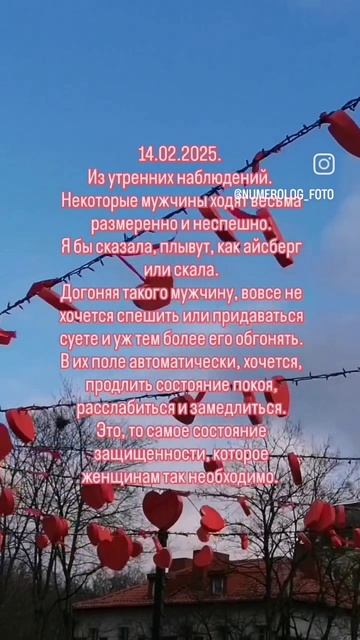 14.02.2025. Из утренних наблюдений💕