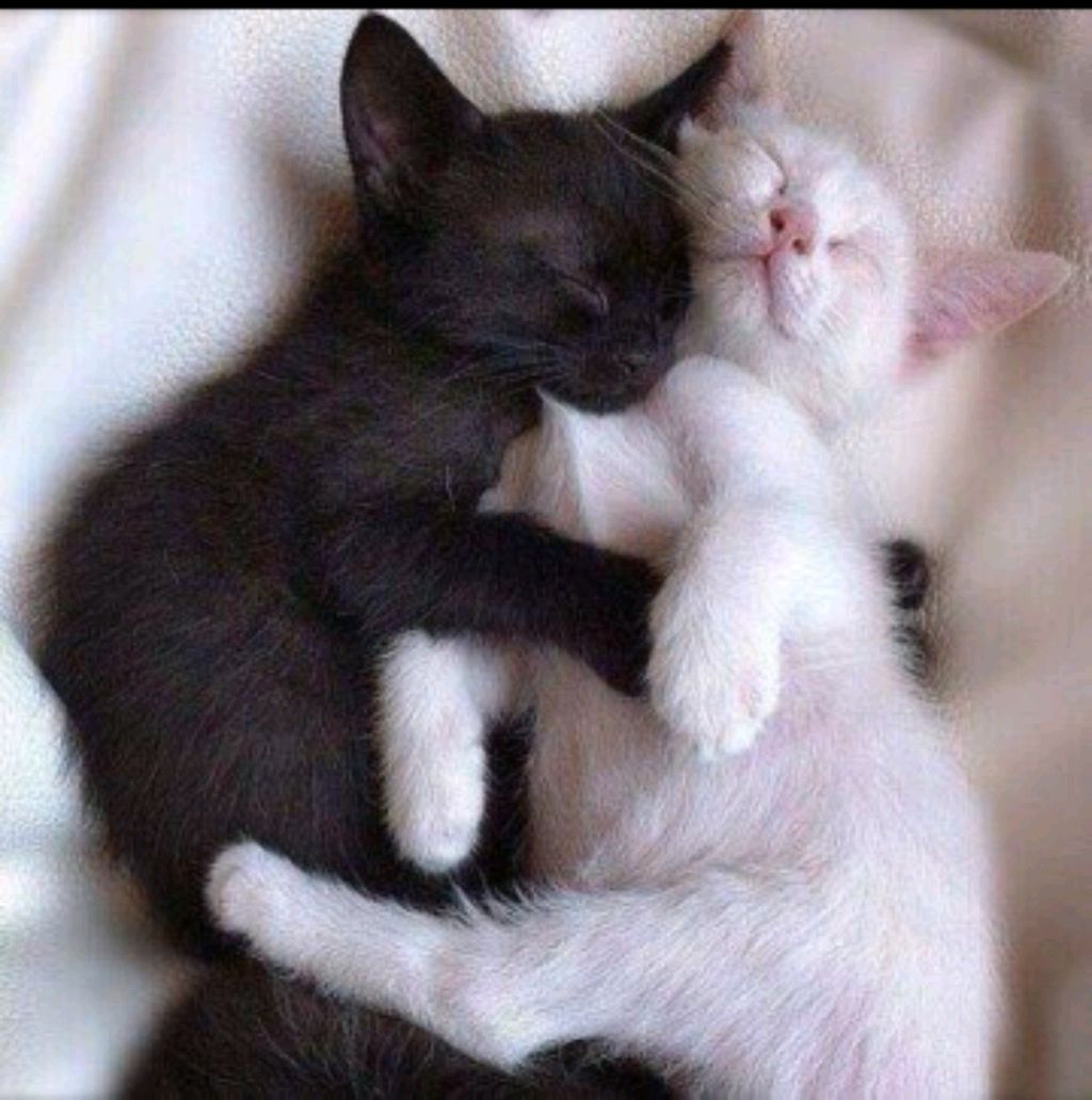 собираемся в школу