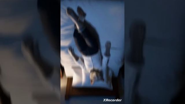 Кошка вышла замуж. ну жених оказался нехорошим