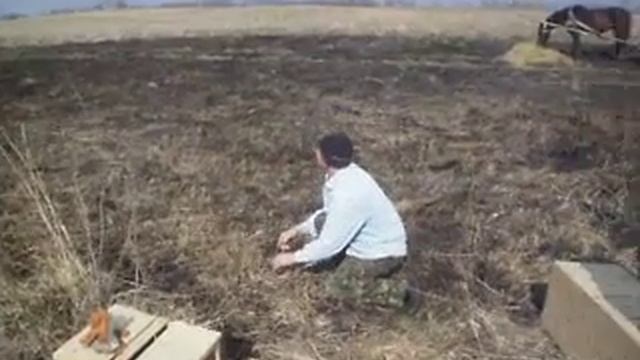 Відпуск фазана в угіддя. Озадівка 2016 р.ч.5